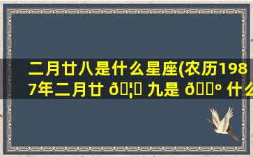二月廿八是什么星座(农历1987年二月廿 🦊 九是 🌺 什么星座)